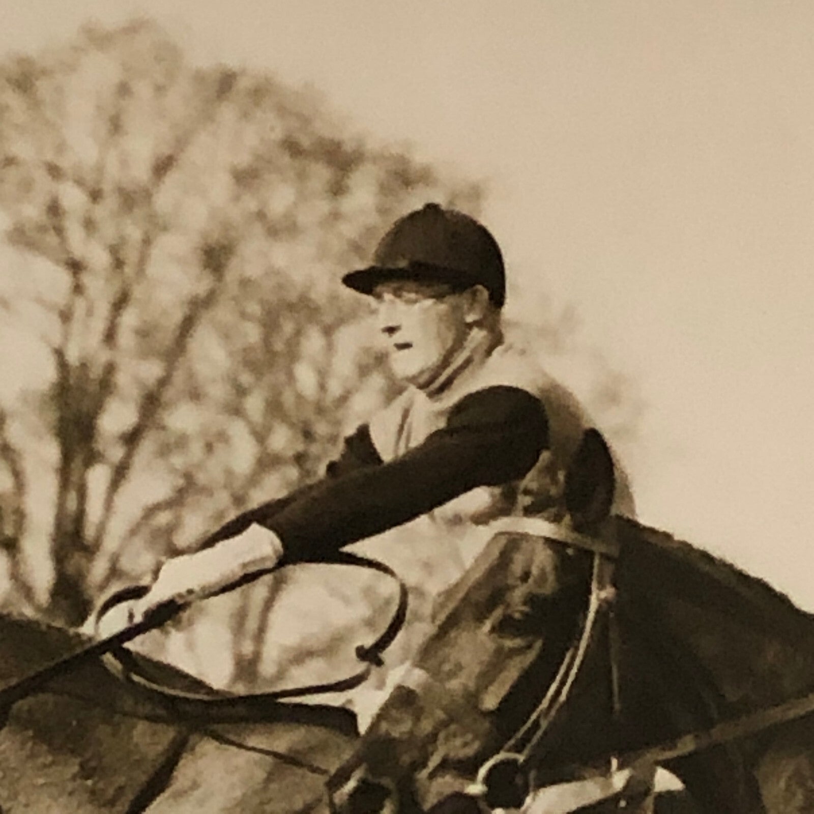 Press Photo Photograph Cambridge University Steeplechase Horse Race 1933 racing