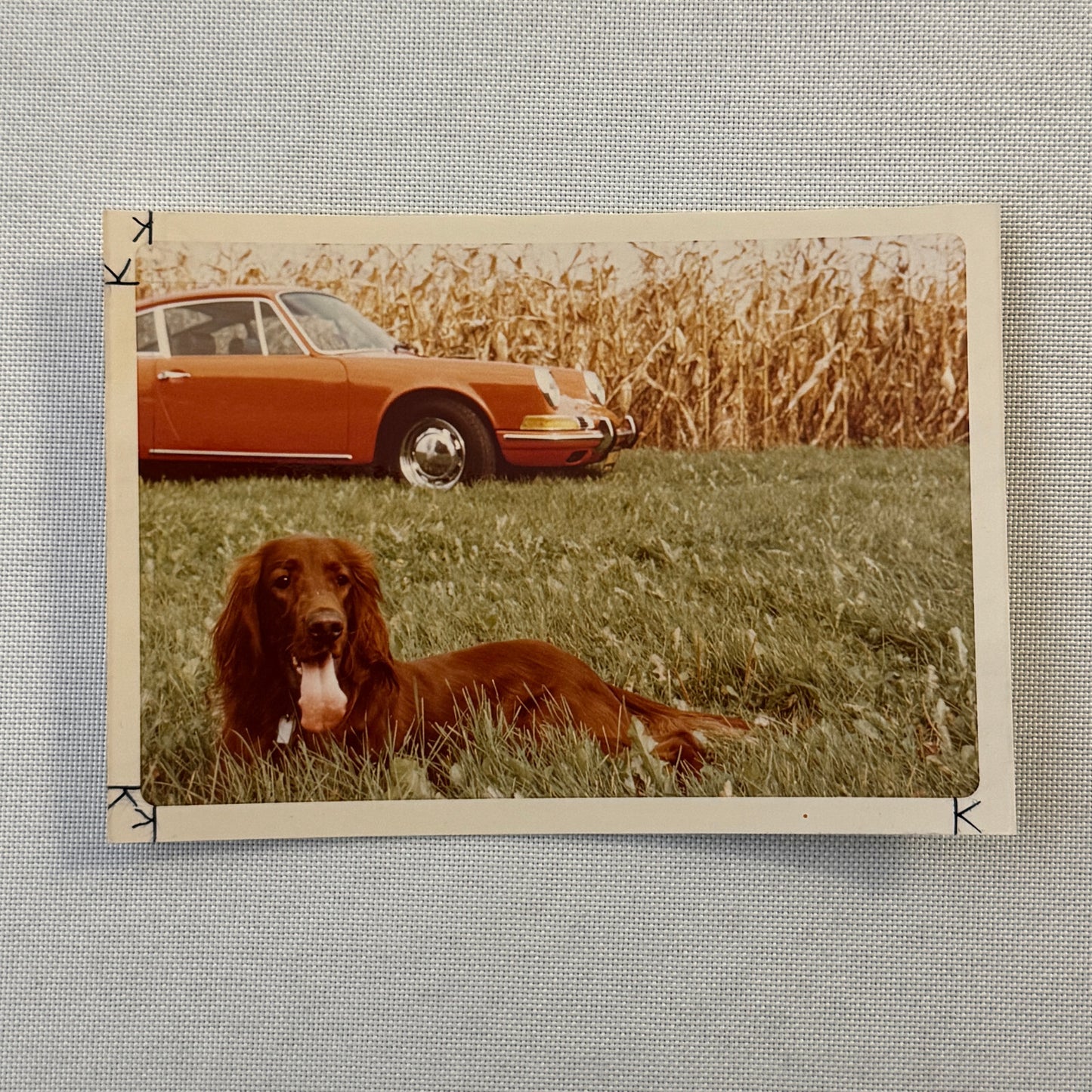Porsche 911 with Dog Photo Photograph Print Vintage