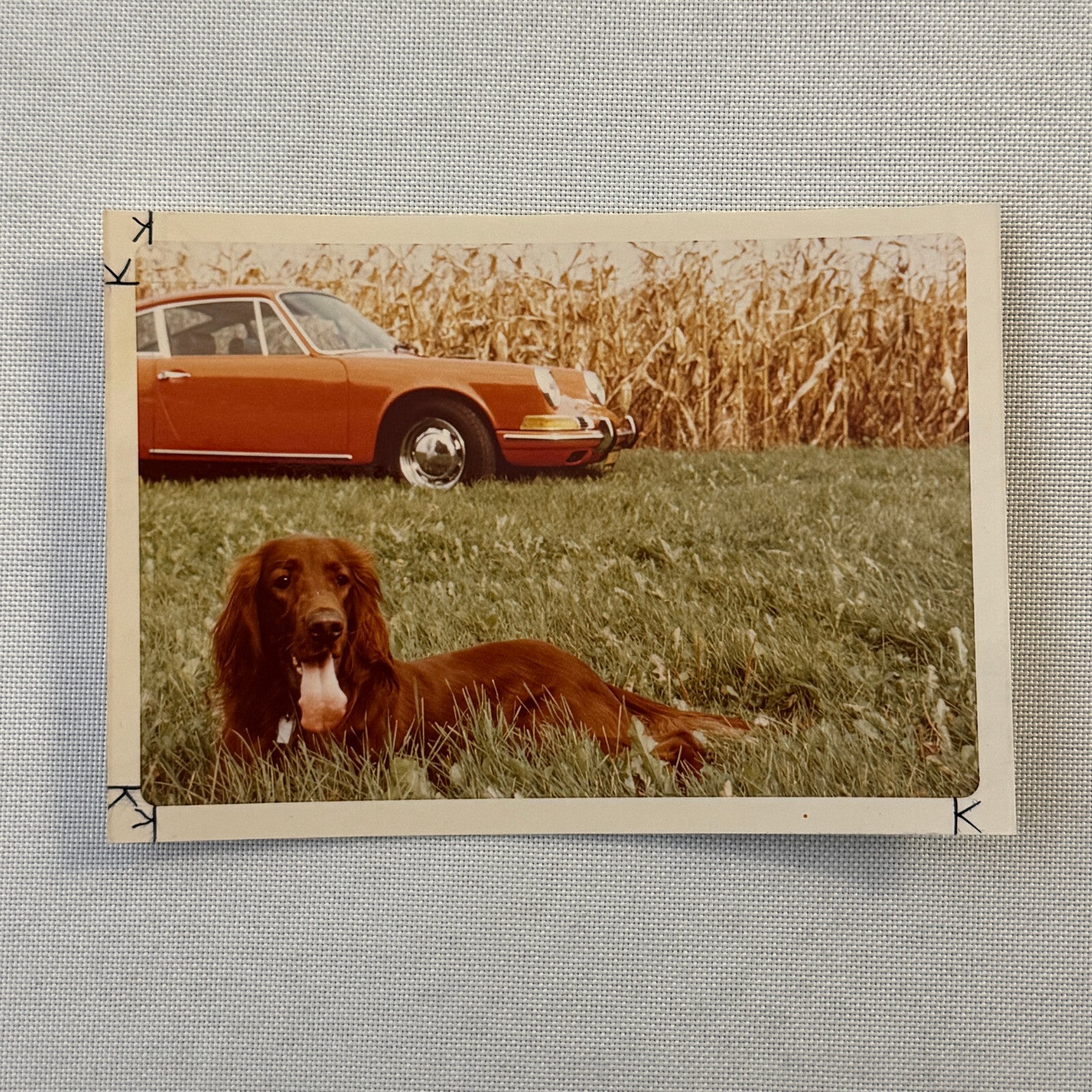 Porsche 911 with Dog Photo Photograph Print Vintage