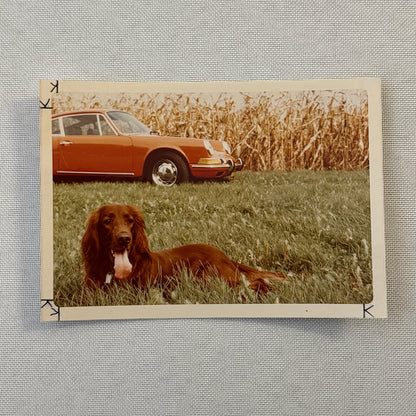 Porsche 911 with Dog Photo Photograph Print Vintage