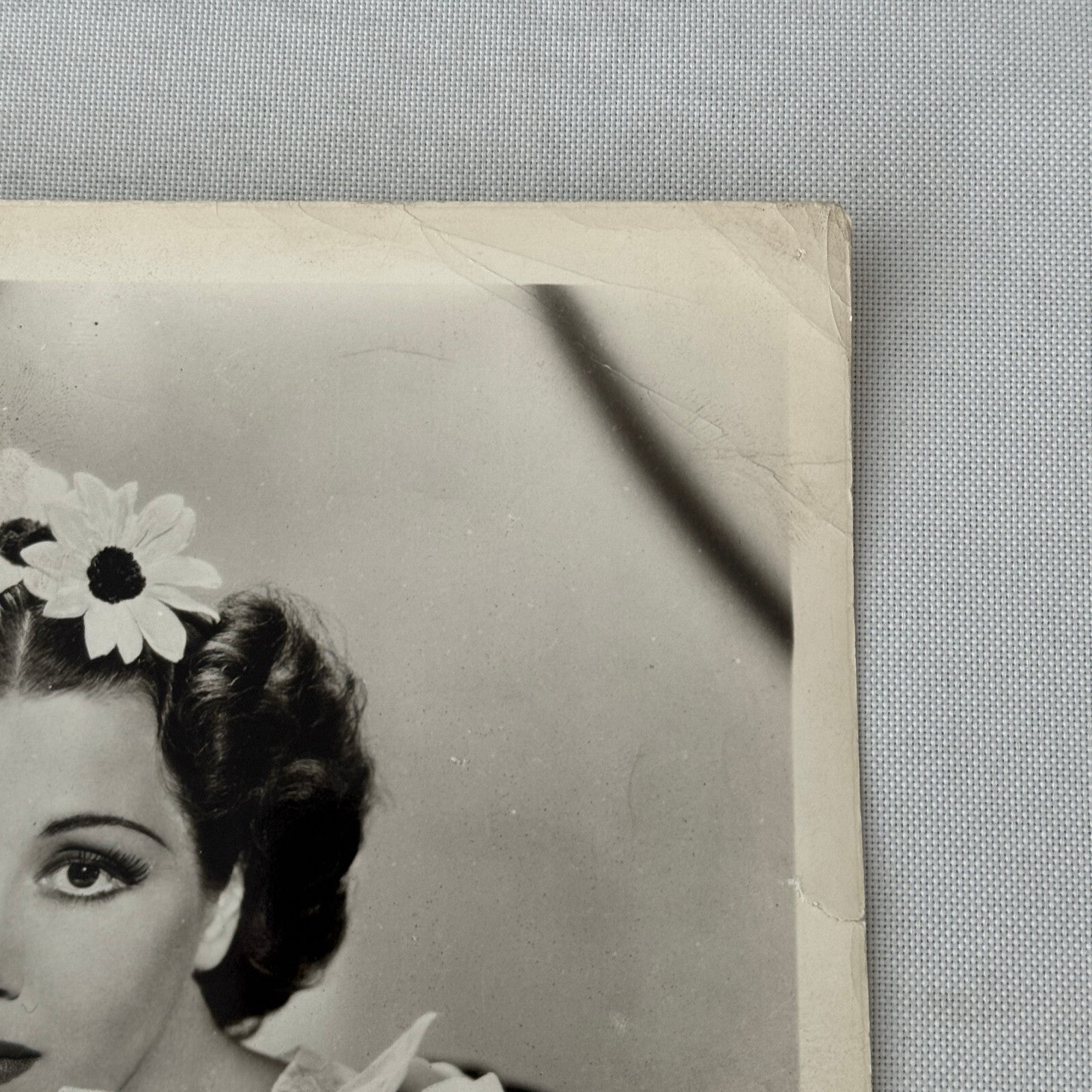 Vintage Movie Still Photo Photograph Print Fred MacMurray Actress Beautiful