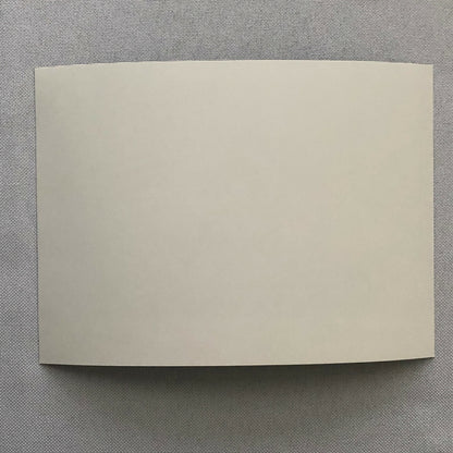 1995 Porsche 911 Carrera Factory Press Photo Photograph Print 