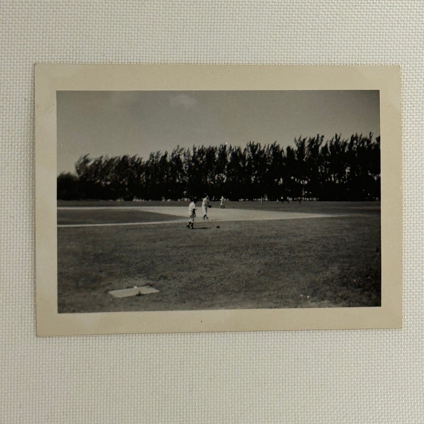 1950 New York Yankees Photo Photograph Snapshot Baseball NY Vintage