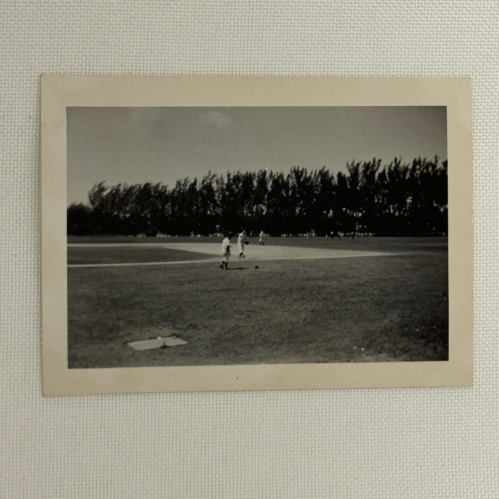1950 New York Yankees Photo Photograph Snapshot Baseball NY Vintage