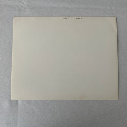 Vintage Movie Still Press Photo Photograph Namu the Killer Whale 1966