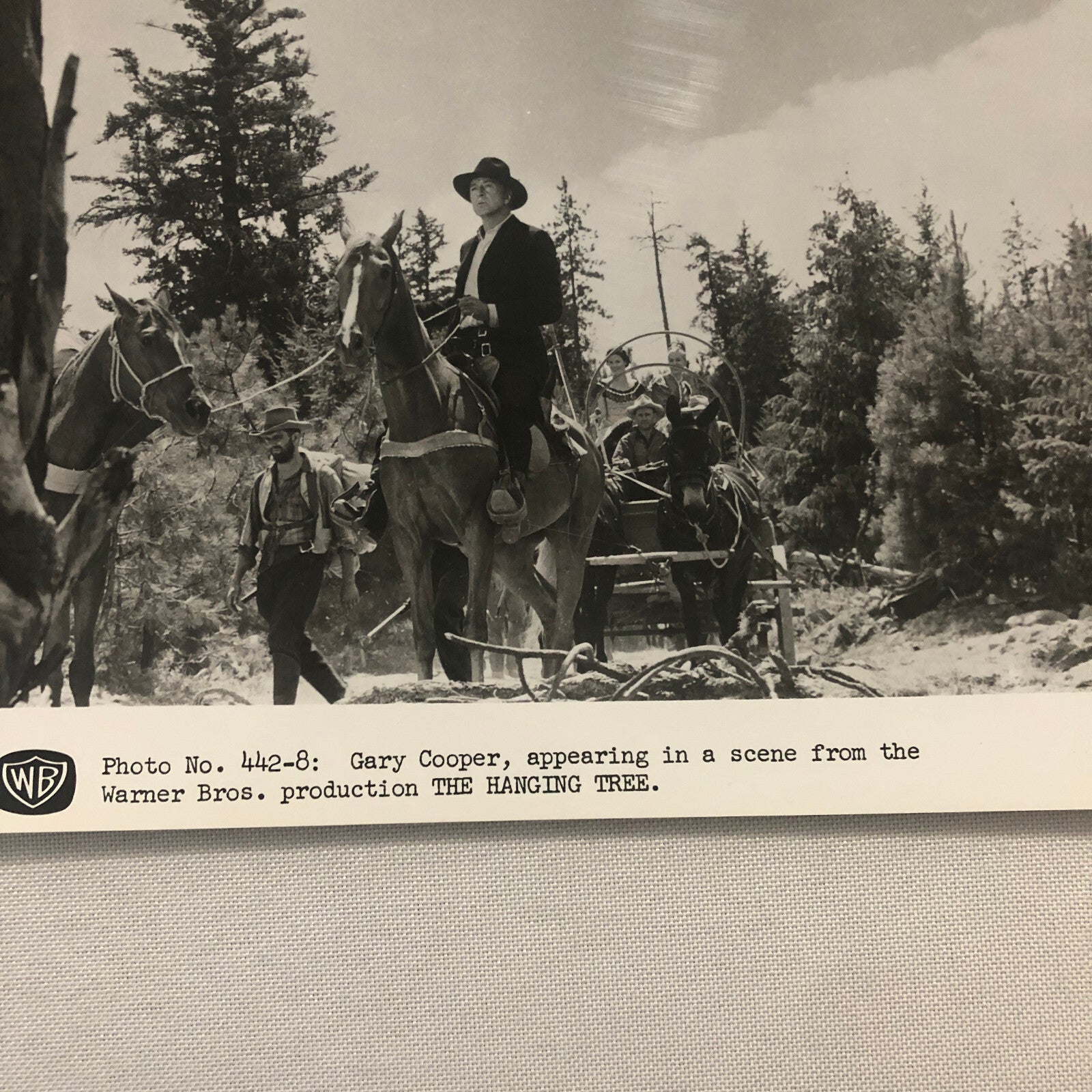 Actor Gary Cooper The Hanging Tree Movie Press Photo Photograph Warner Brothers