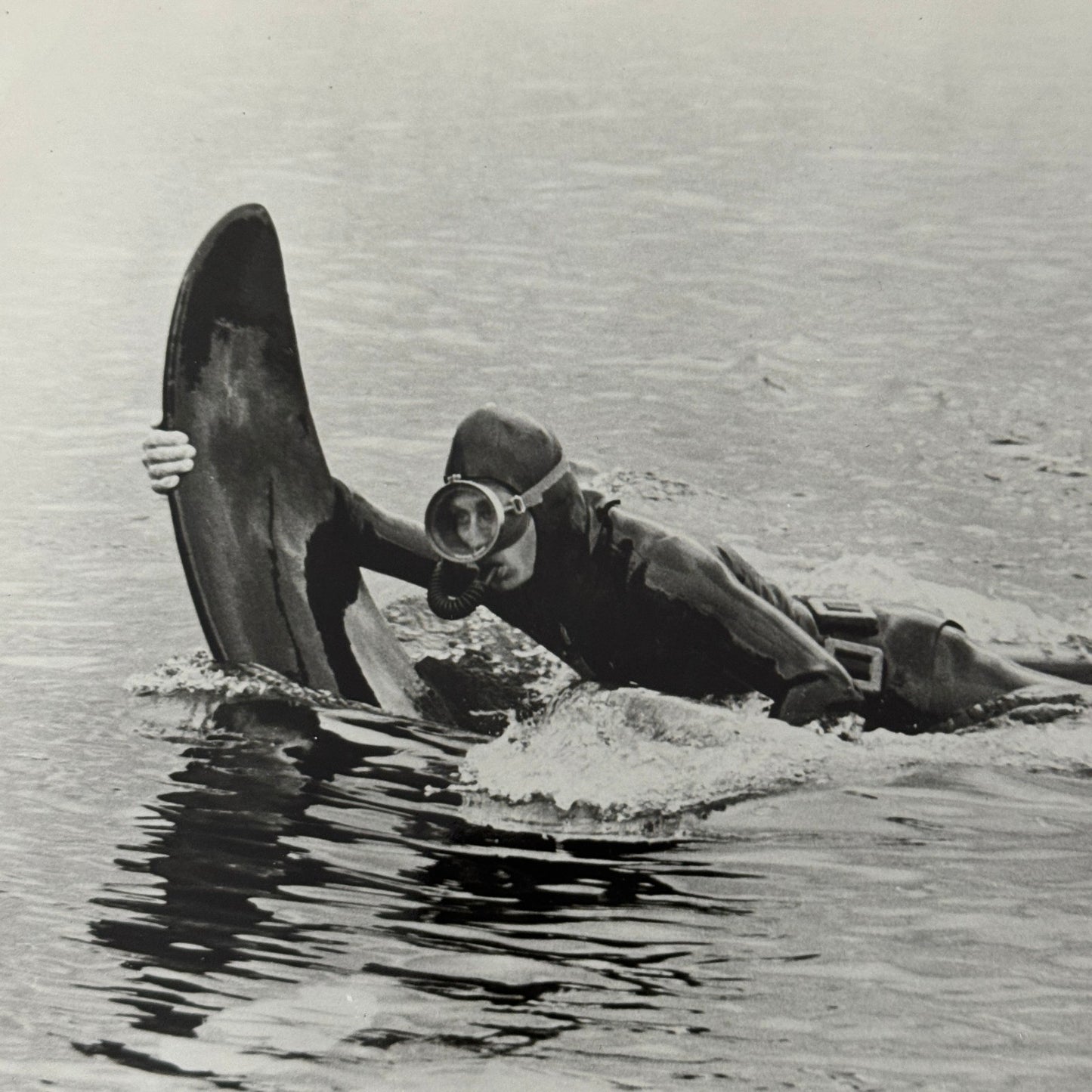 Vintage Movie Still Press Photo Photograph Namu the Killer Whale 1966