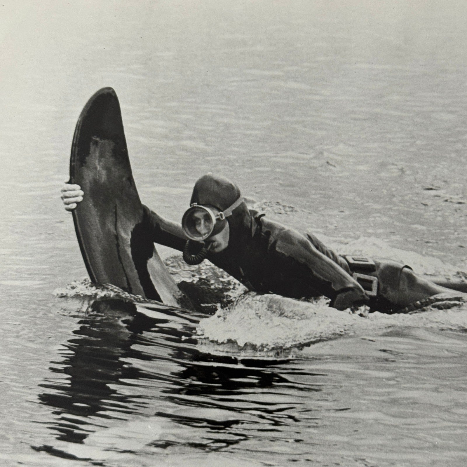 Vintage Movie Still Press Photo Photograph Namu the Killer Whale 1966