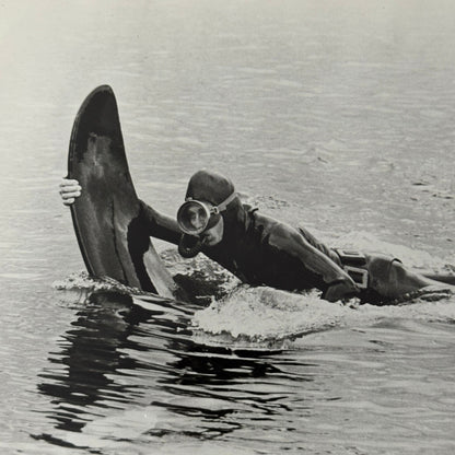 Vintage Movie Still Press Photo Photograph Namu the Killer Whale 1966