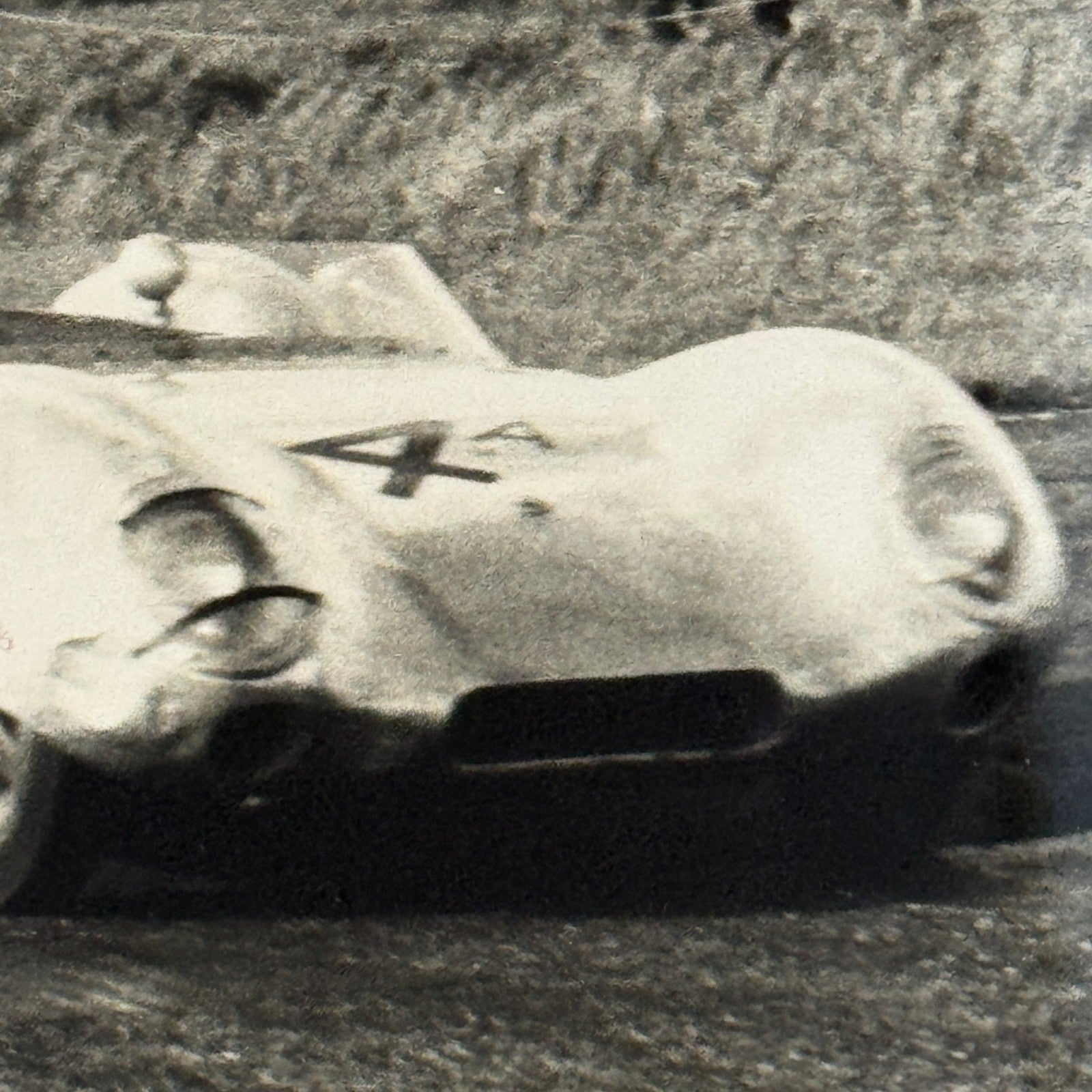 Vintage Racing Photo Photograph Print Lotus Car