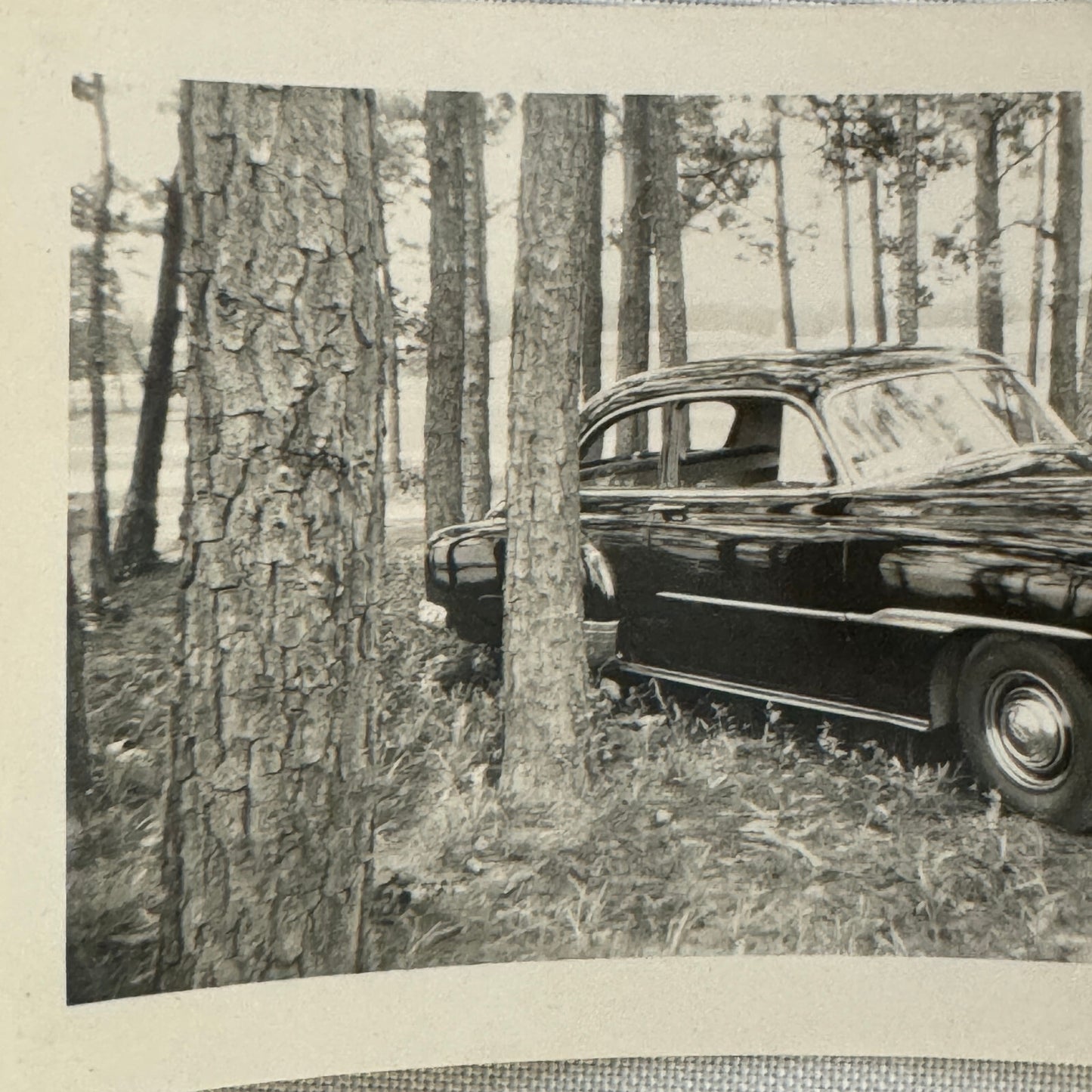 Vintage Chevrolet Car Automobile Snapshot Photo Photograph Print