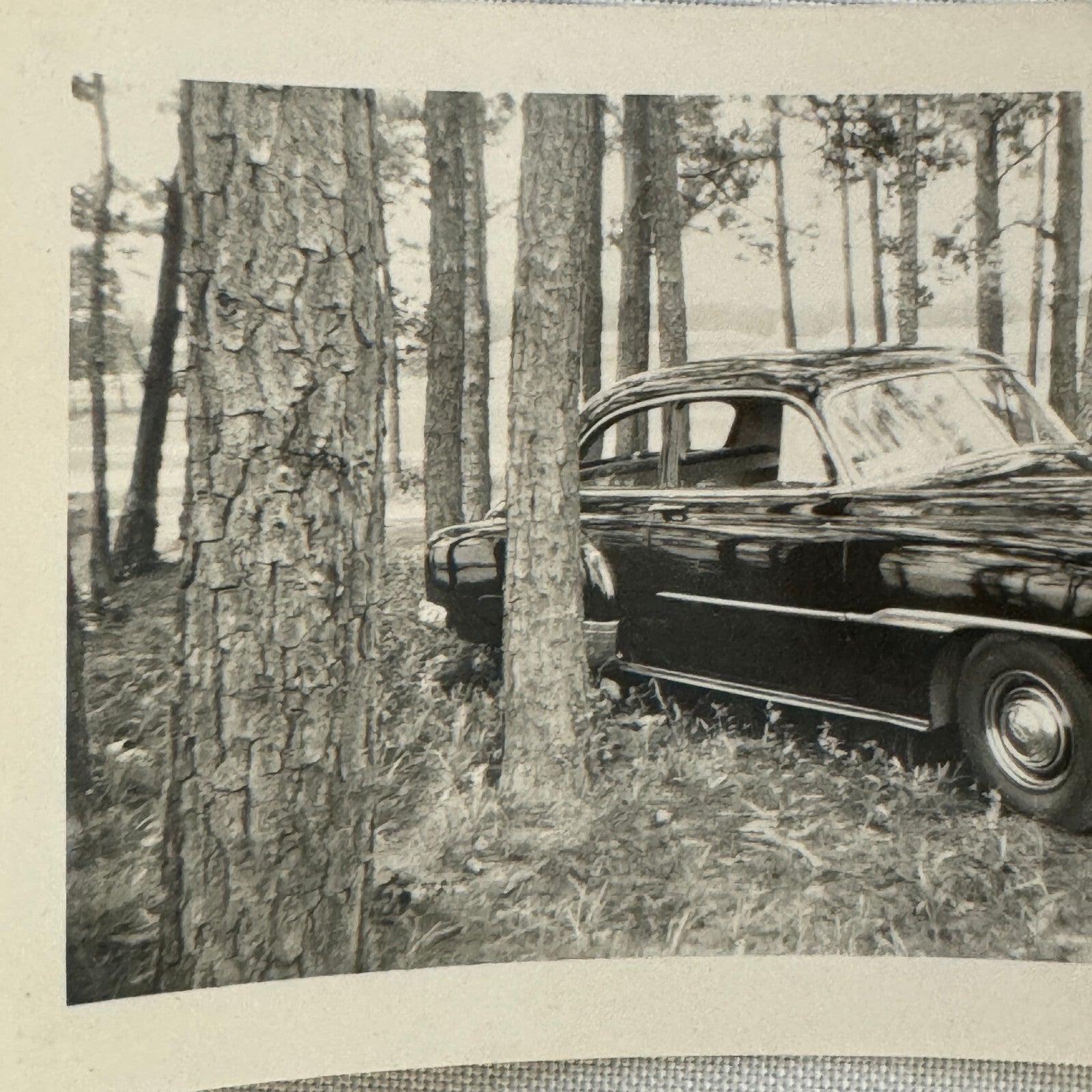 Vintage Chevrolet Car Automobile Snapshot Photo Photograph Print