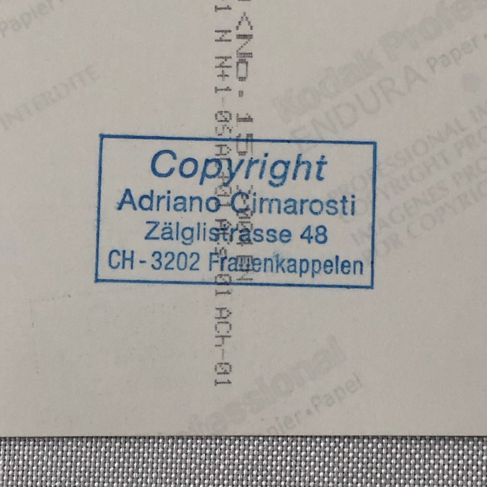 1962 Monza Colin Chapman Lotus Racing Photo Photograph Adriano Cimarosti 