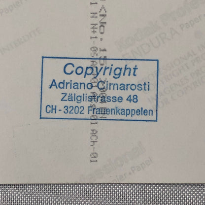 1962 Monza Colin Chapman Lotus Racing Photo Photograph Adriano Cimarosti 