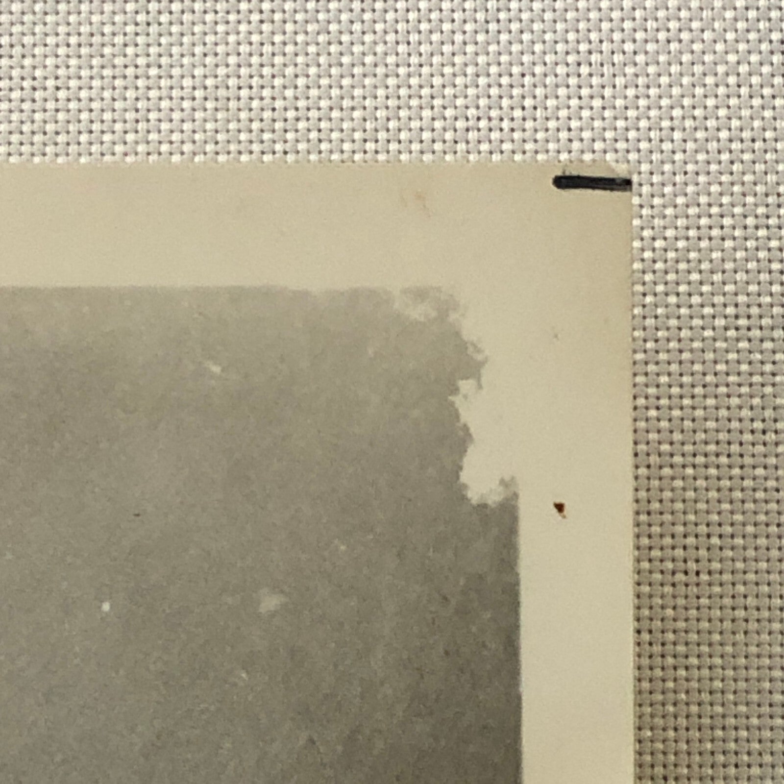 Vintage Movie Photo Photograph Cat on a Hot Tin Roof Paul Newman Burl Ives