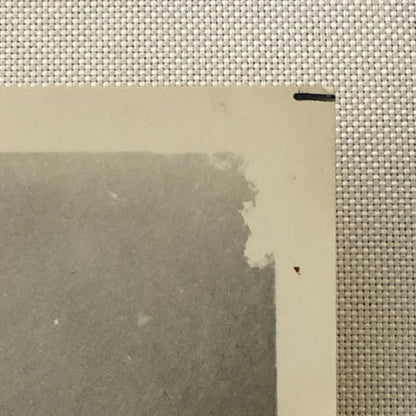 Vintage Movie Photo Photograph Cat on a Hot Tin Roof Paul Newman Burl Ives