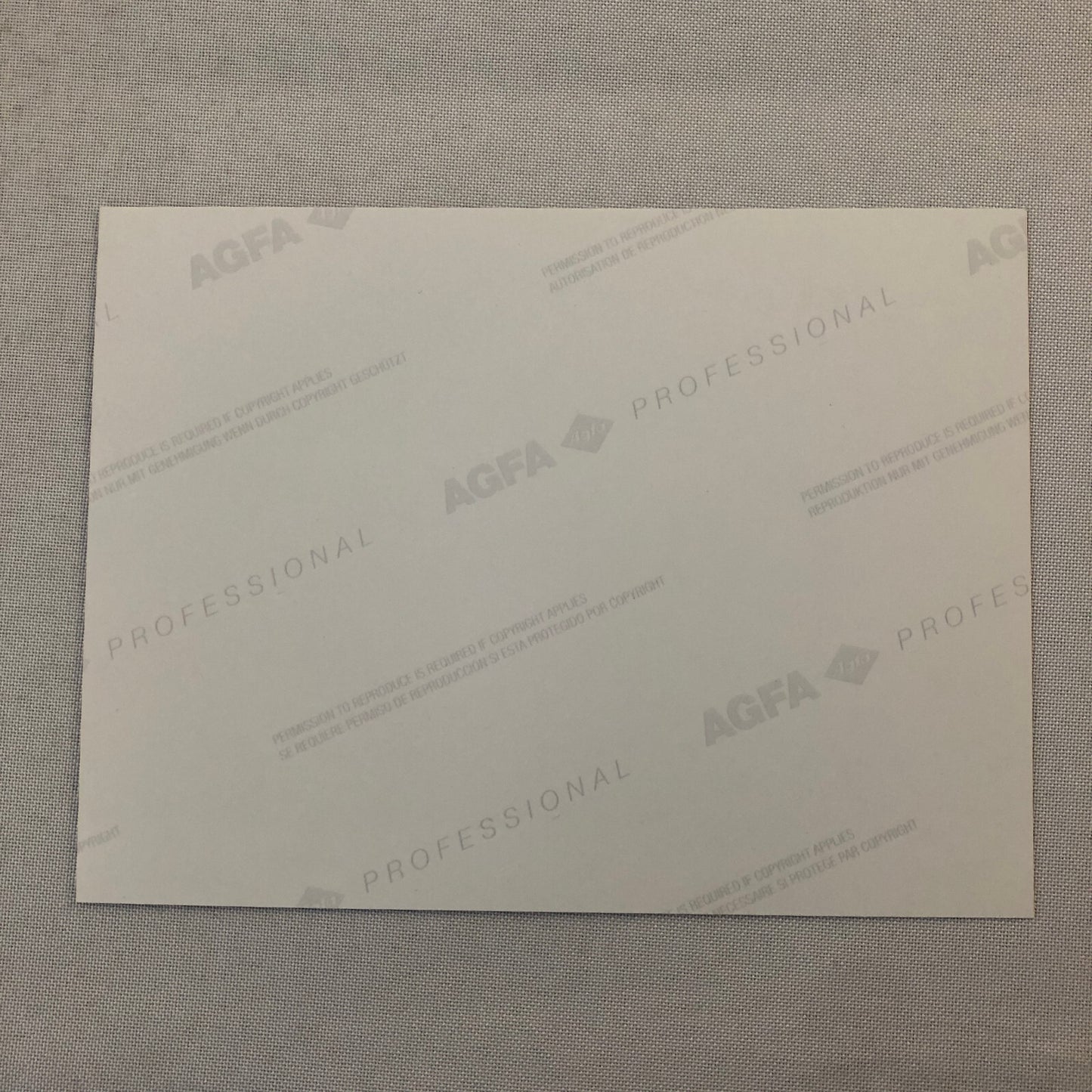 1999 Honda S2000 Roadster Car Factory Press Photo Photograph