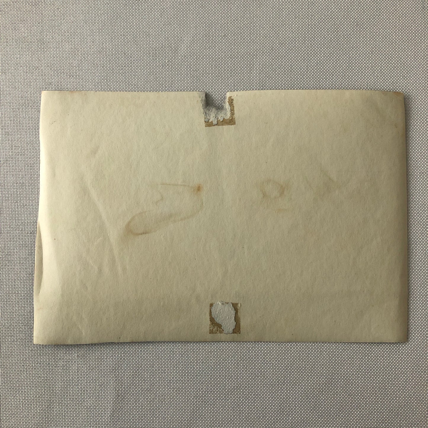 Circus Performer Women Portrait Photo Photograph Vintage Antique