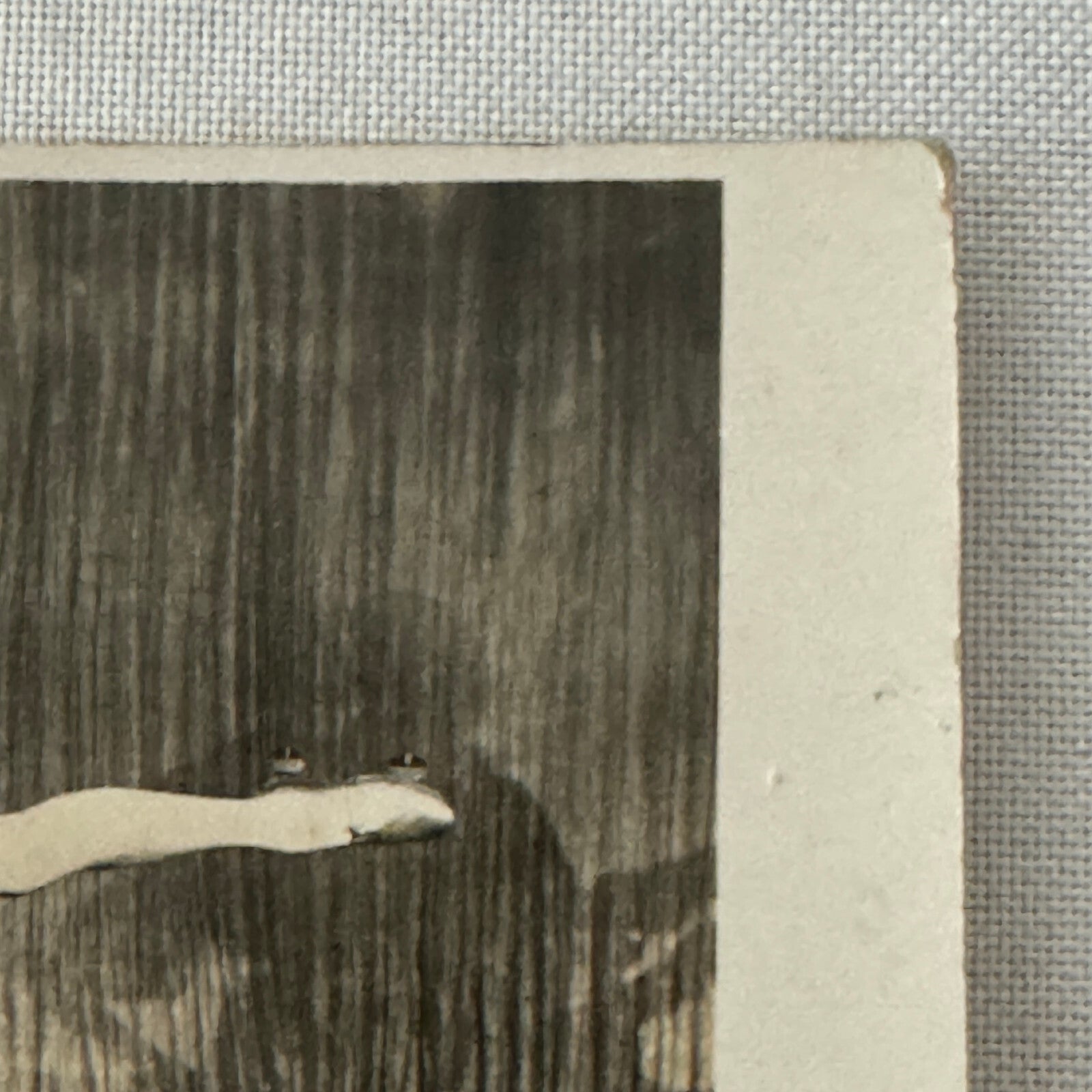 Vintage Roller Skating Act Postcard Post Card Circus The Boomgarden Patineurs