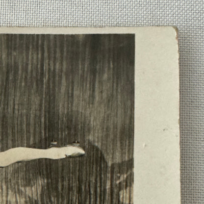 Vintage Roller Skating Act Postcard Post Card Circus The Boomgarden Patineurs