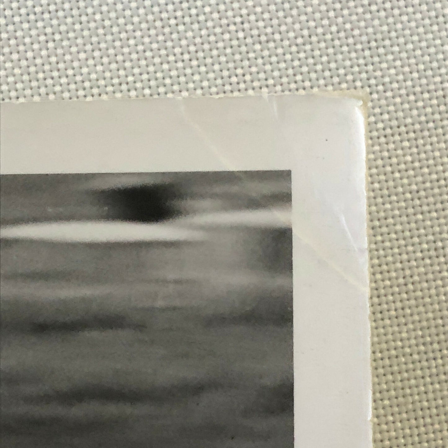 Vintage Grand Prix Racing Photo Photograph - Jody Scheckter Yardley McLaren + 