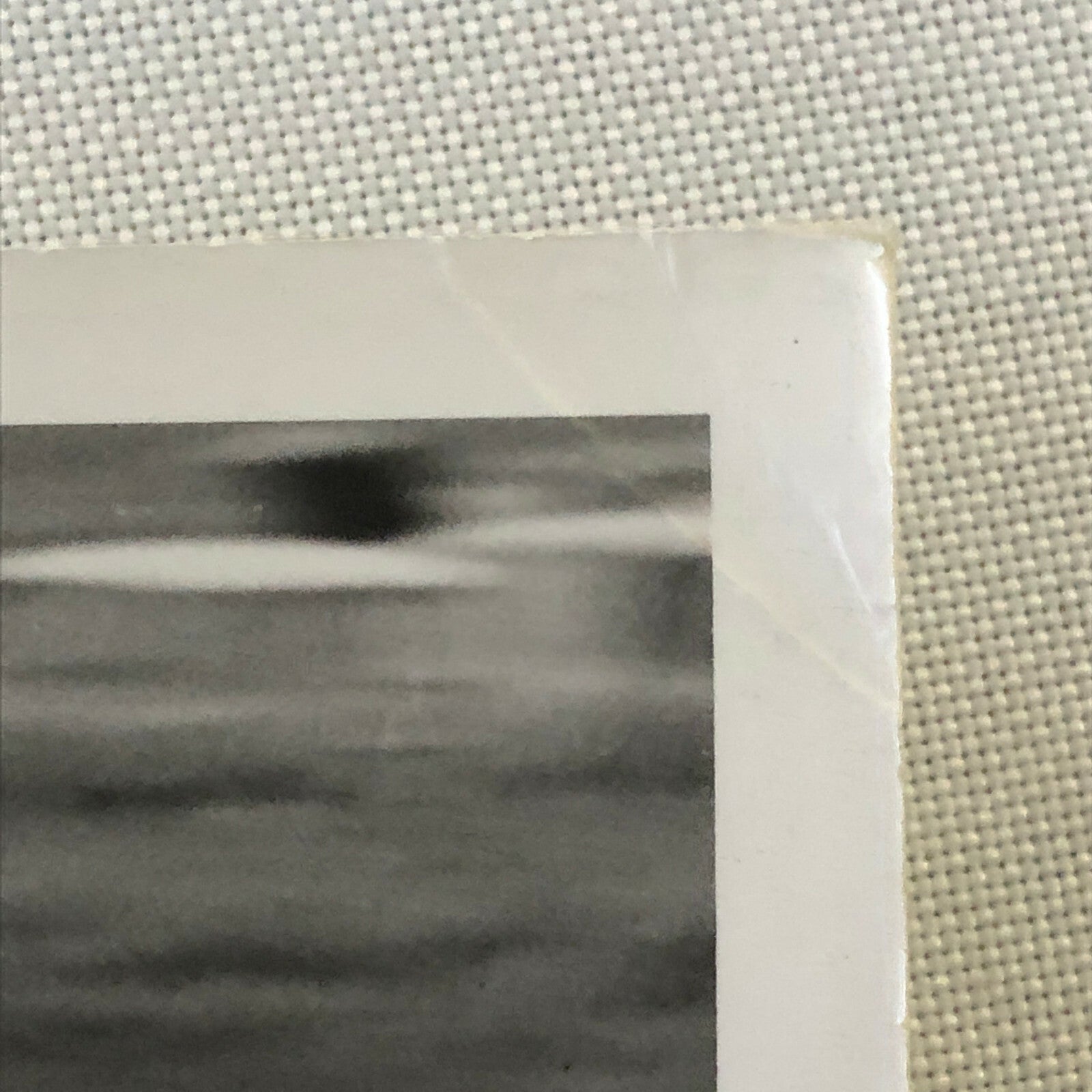 Vintage Grand Prix Racing Photo Photograph - Jody Scheckter Yardley McLaren + 