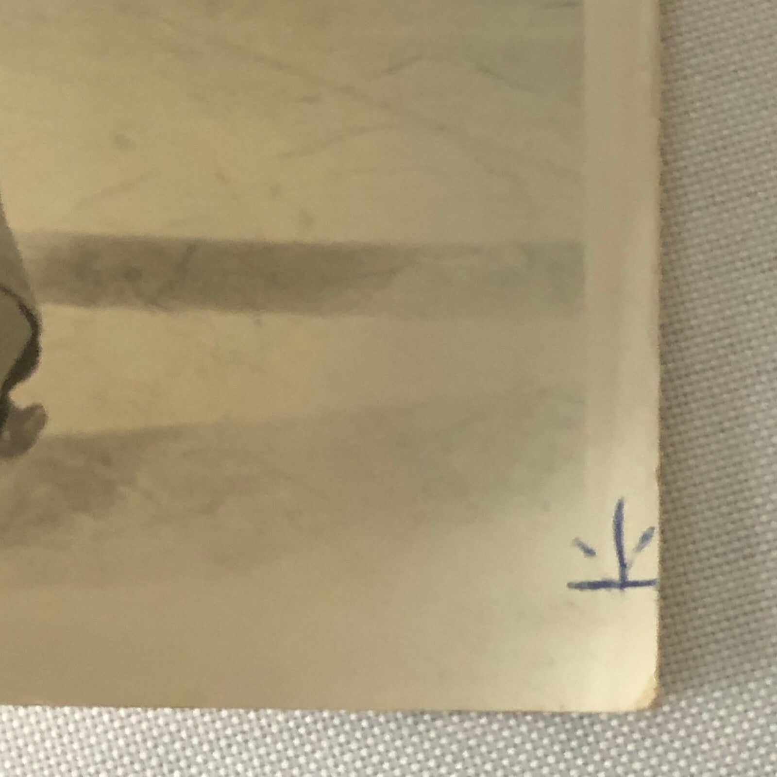 Vintage Figure Skating Press Photo 1974 Television Ice Skaters Photograph