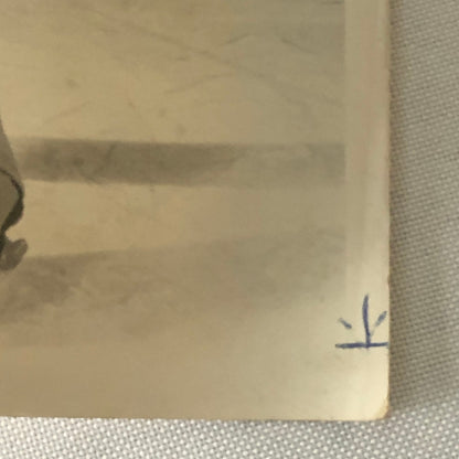 Vintage Figure Skating Press Photo 1974 Television Ice Skaters Photograph