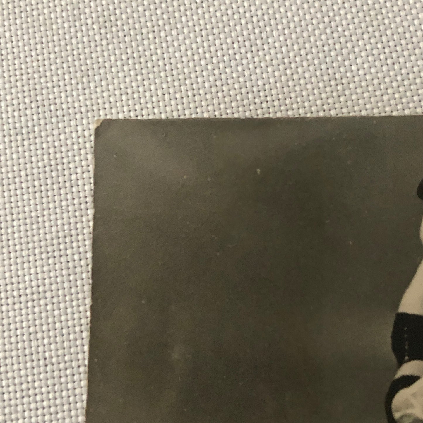 Circus Performer Bicycle Balancing Act Photo Photograph Vintage