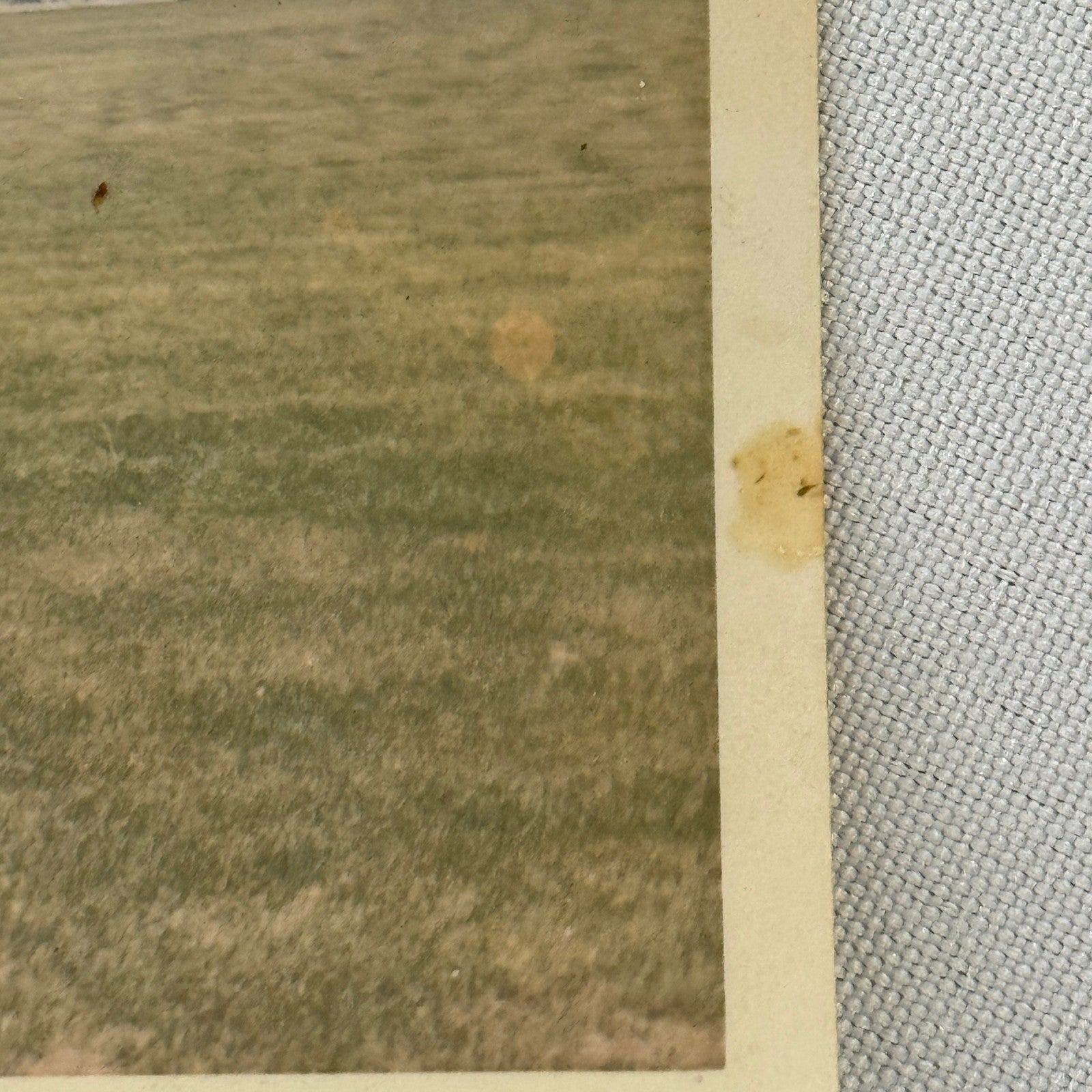 1966 Toronto Maple Leafs Minor League Baseball Al Lehrer Player Photo Snapshot