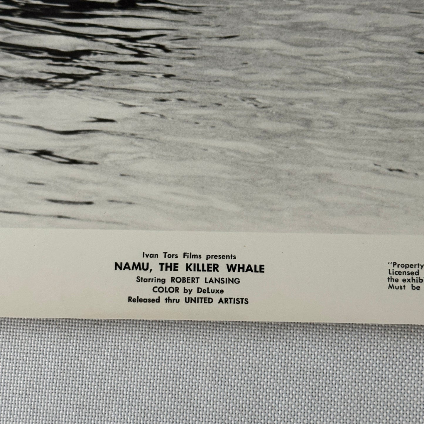 Vintage Movie Still Press Photo Photograph Namu the Killer Whale 1966