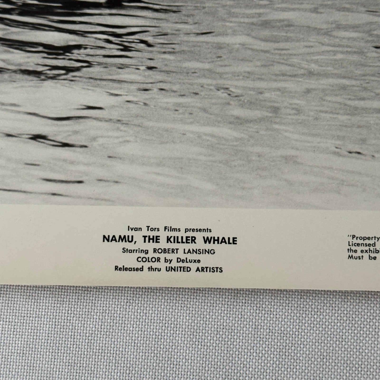 Vintage Movie Still Press Photo Photograph Namu the Killer Whale 1966