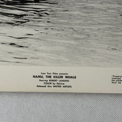 Vintage Movie Still Press Photo Photograph Namu the Killer Whale 1966