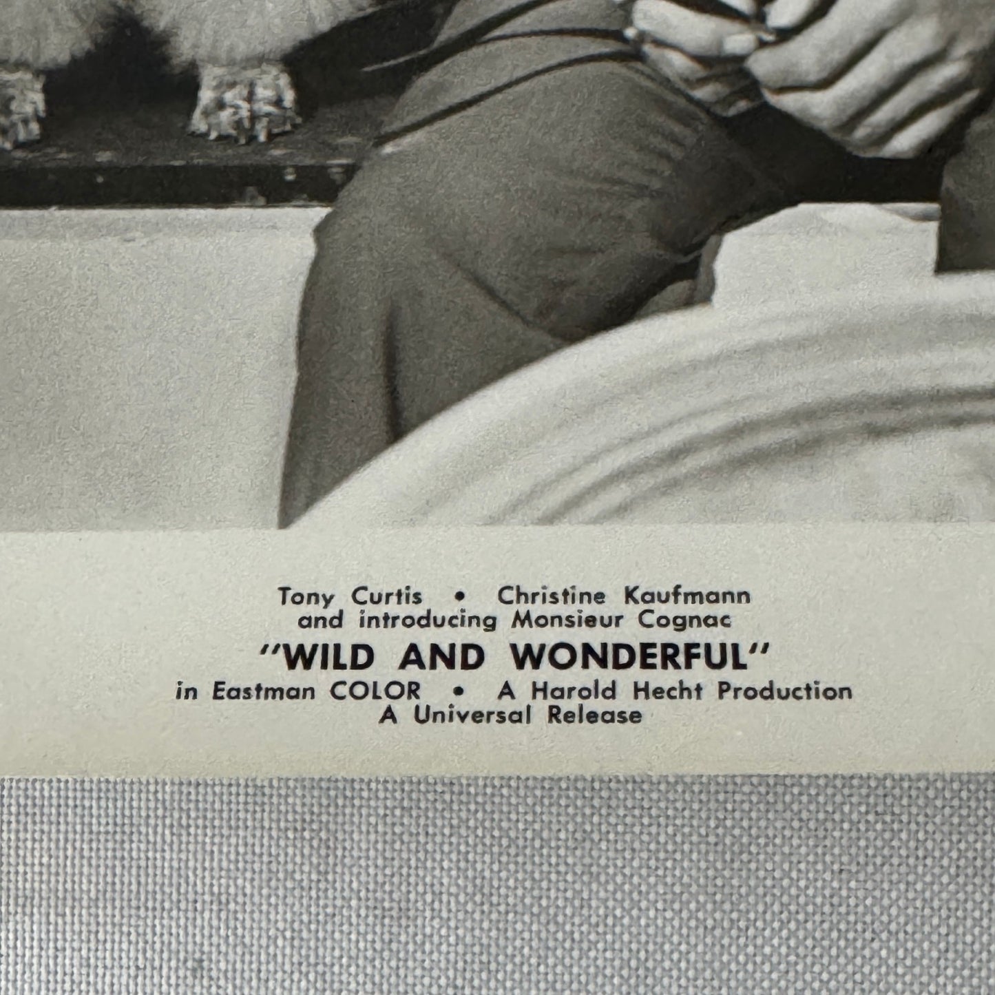 Vintage Movie Still Press Photo Photograph Print Wild and Wonderful Tony Curtis