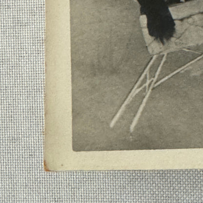 Vintage Circus Acrobat Balancing Act Photo Photograph Will Gomez