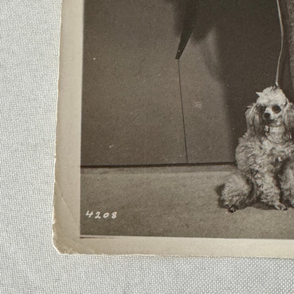 Vintage Movie Photo Photograph Actress with Dog Unidentified