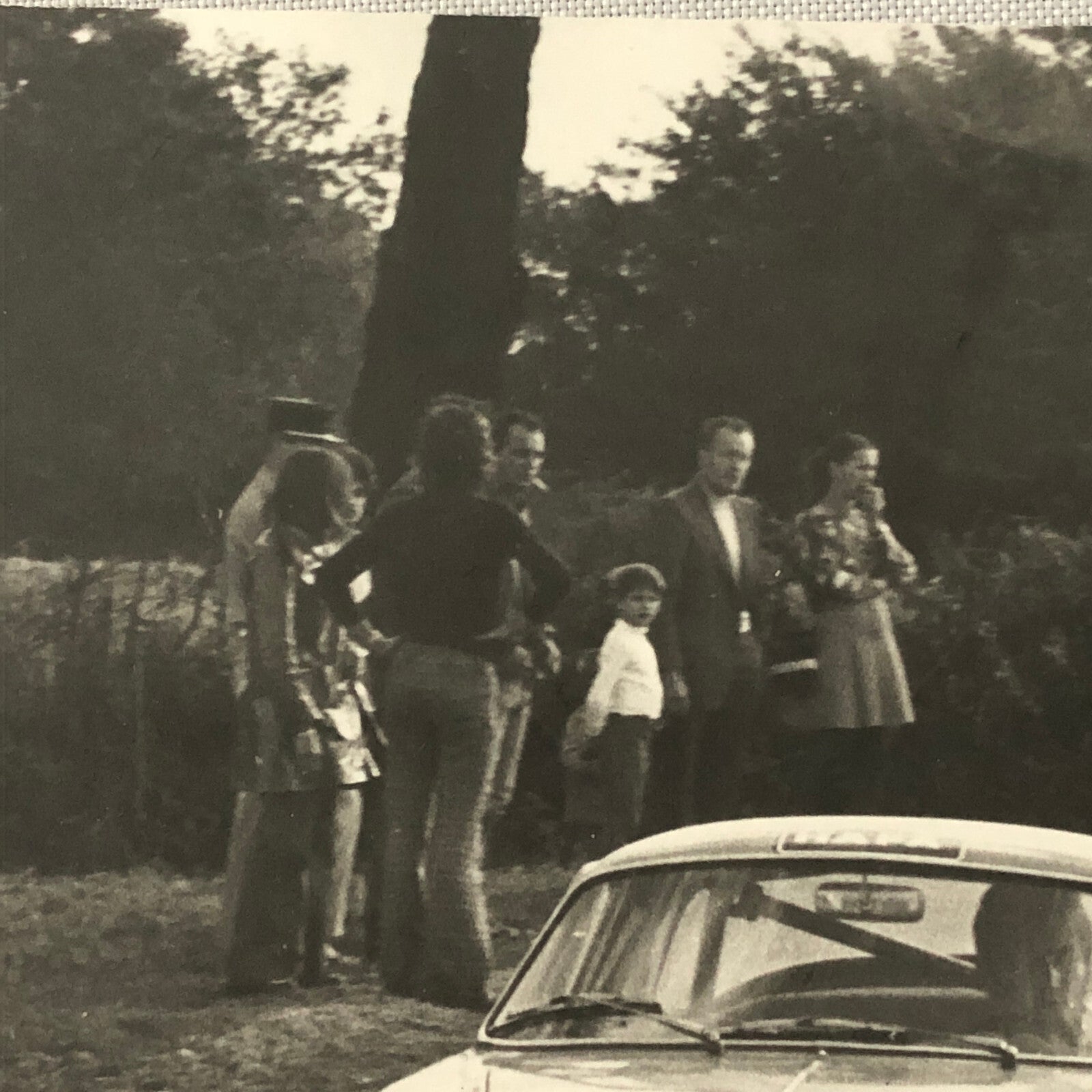 Vintage Renault Alpine Racing Car Photo Photograph Print 