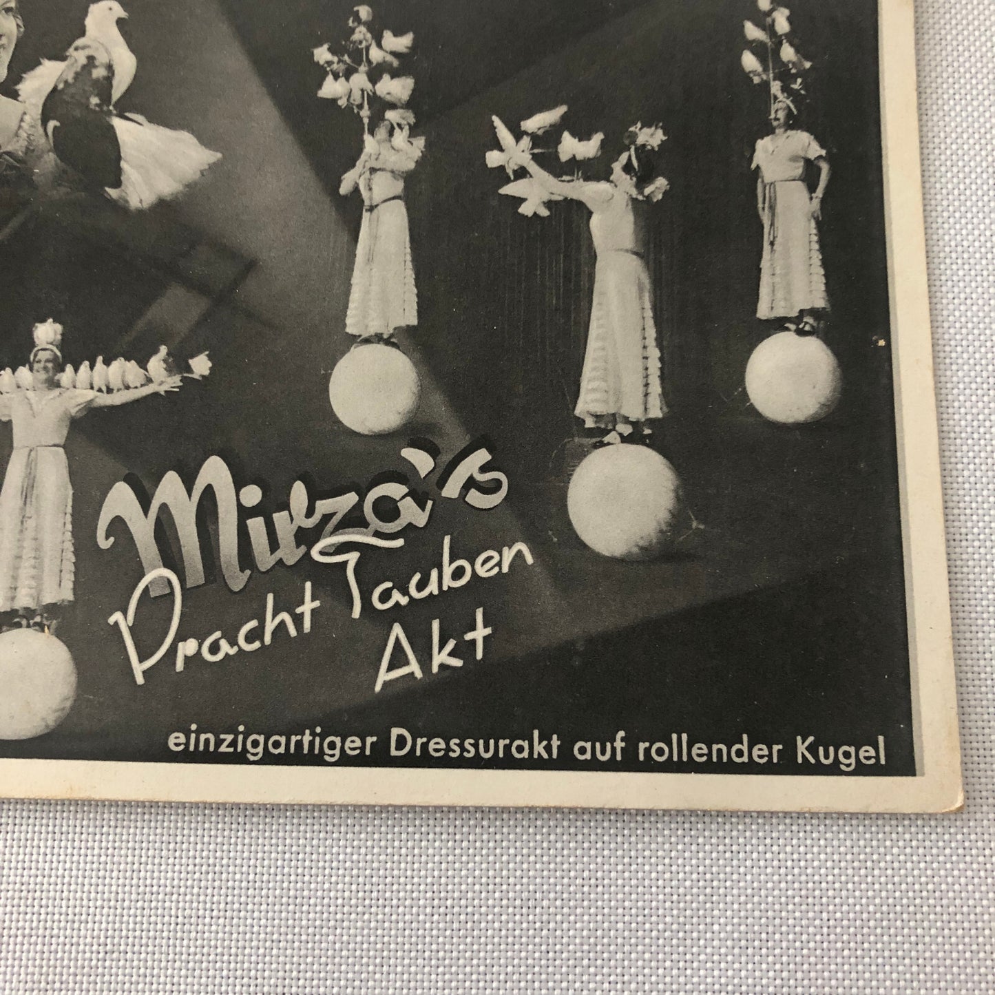 Circus Bird Training Act Postcard Post Card Vintage Mirza's Pracht Tauben Akt