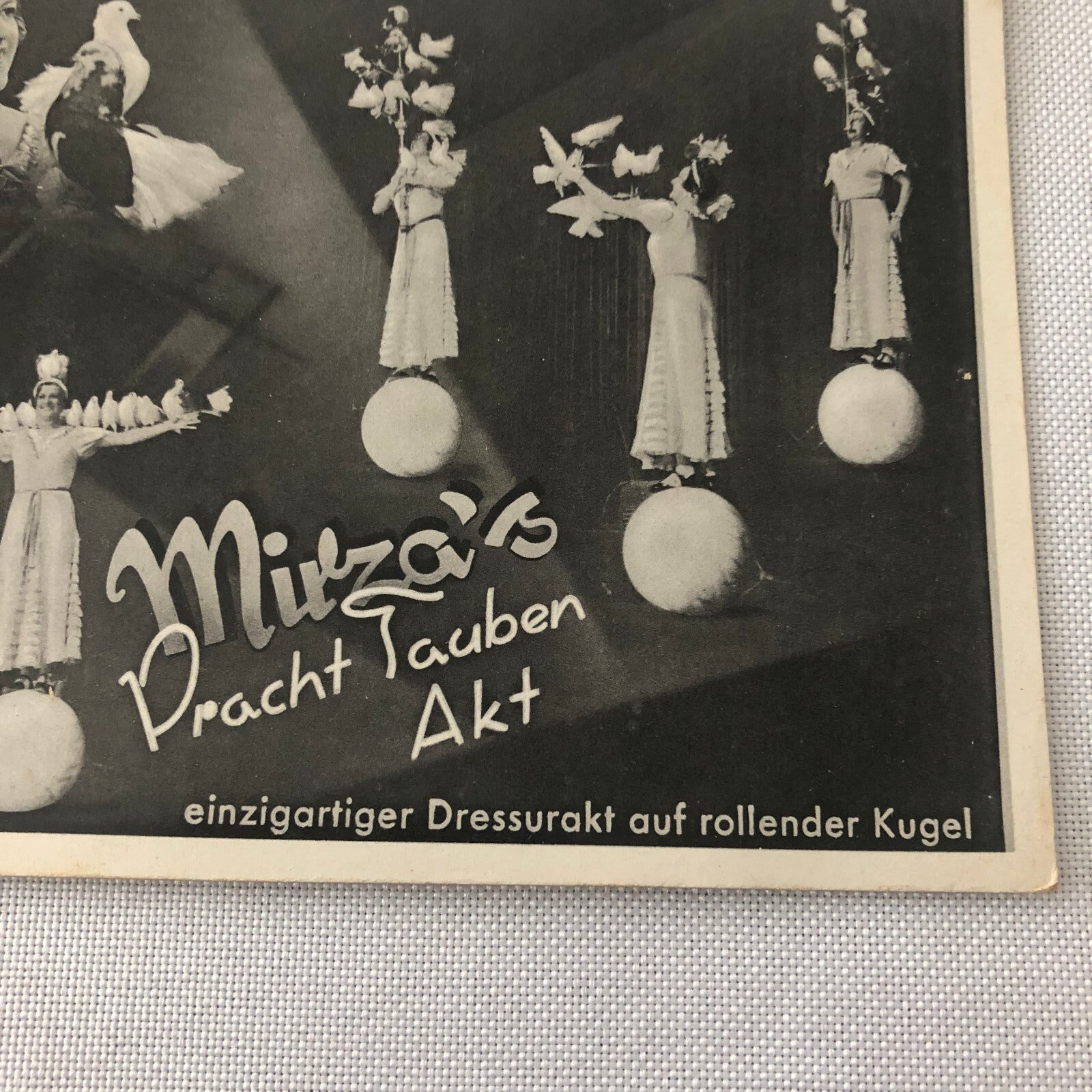 Circus Bird Training Act Postcard Post Card Vintage Mirza's Pracht Tauben Akt
