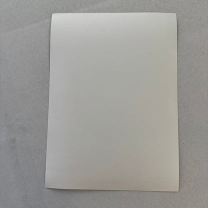 Porsche Racing Driver Jonathan Palmer Factory Press Photo Photograph Group C