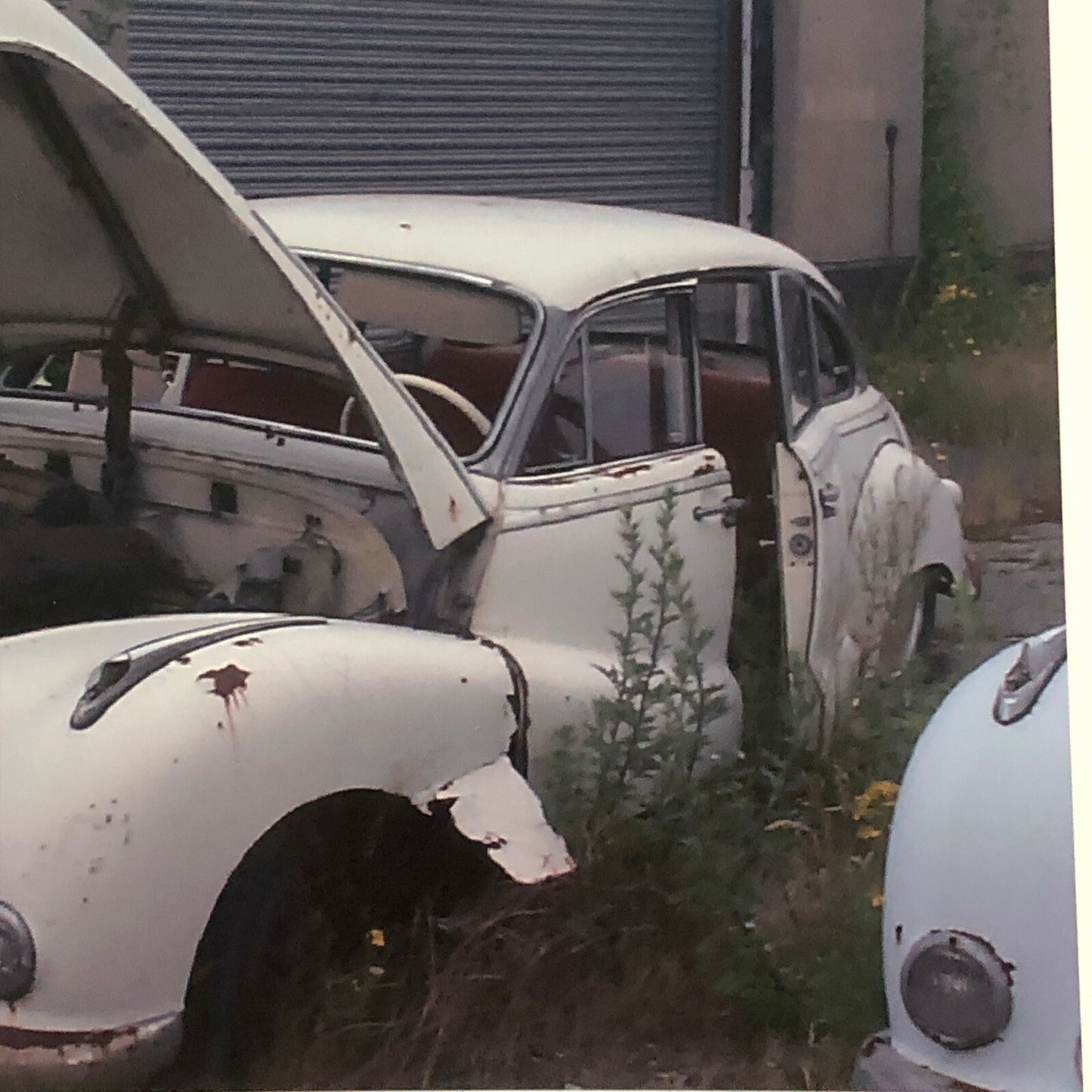 Vintage 1954 BMW 501 V8 Car Barn Find Junk Yard Photo Photograph Print 