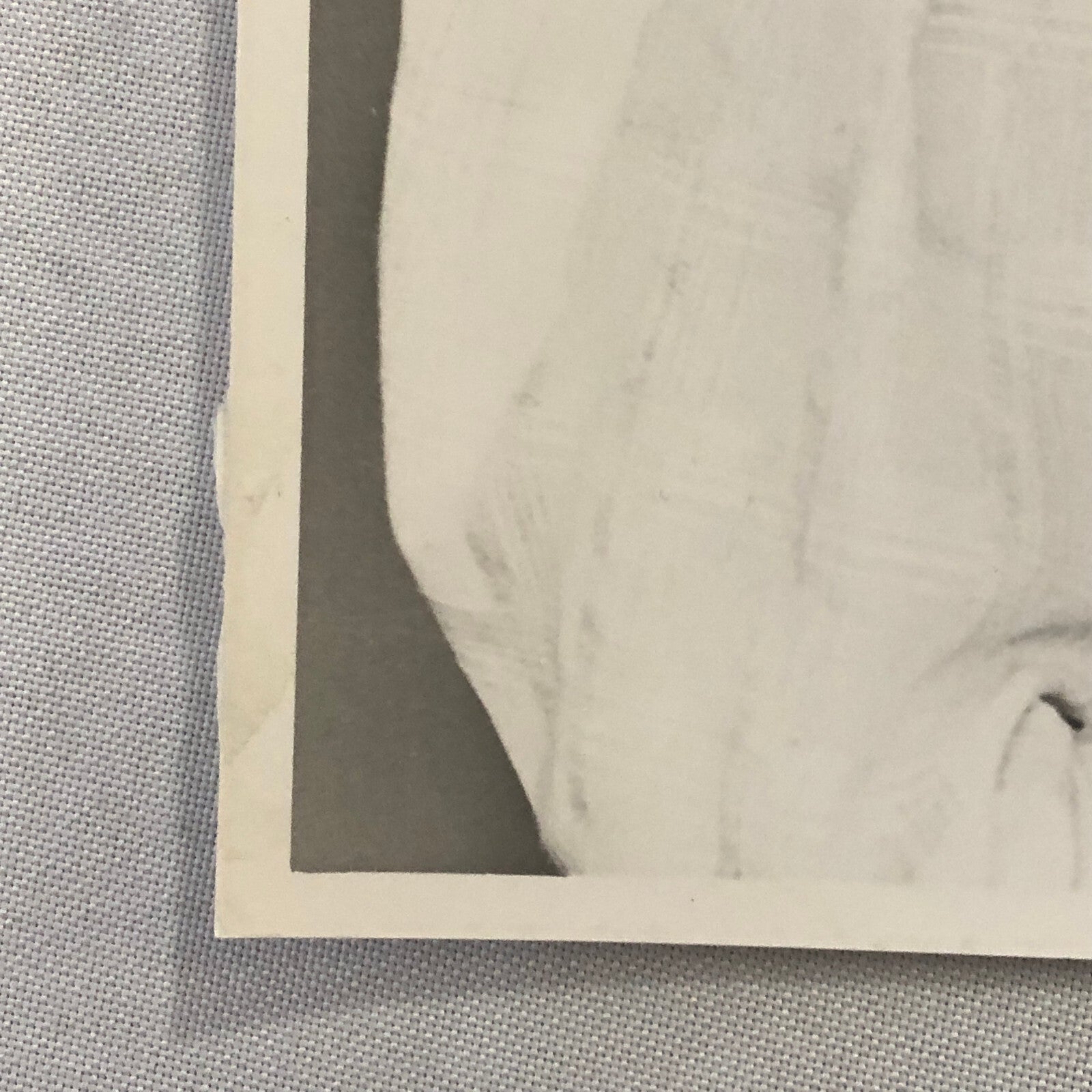 Katharine Hepburn Actress Press Photo Photograph Movie Film