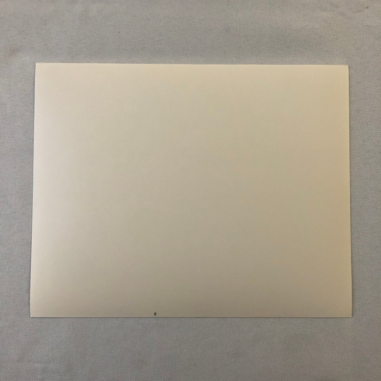 Movie Film Press Photo Photograph The Handmaids Tale Natasha Richardson