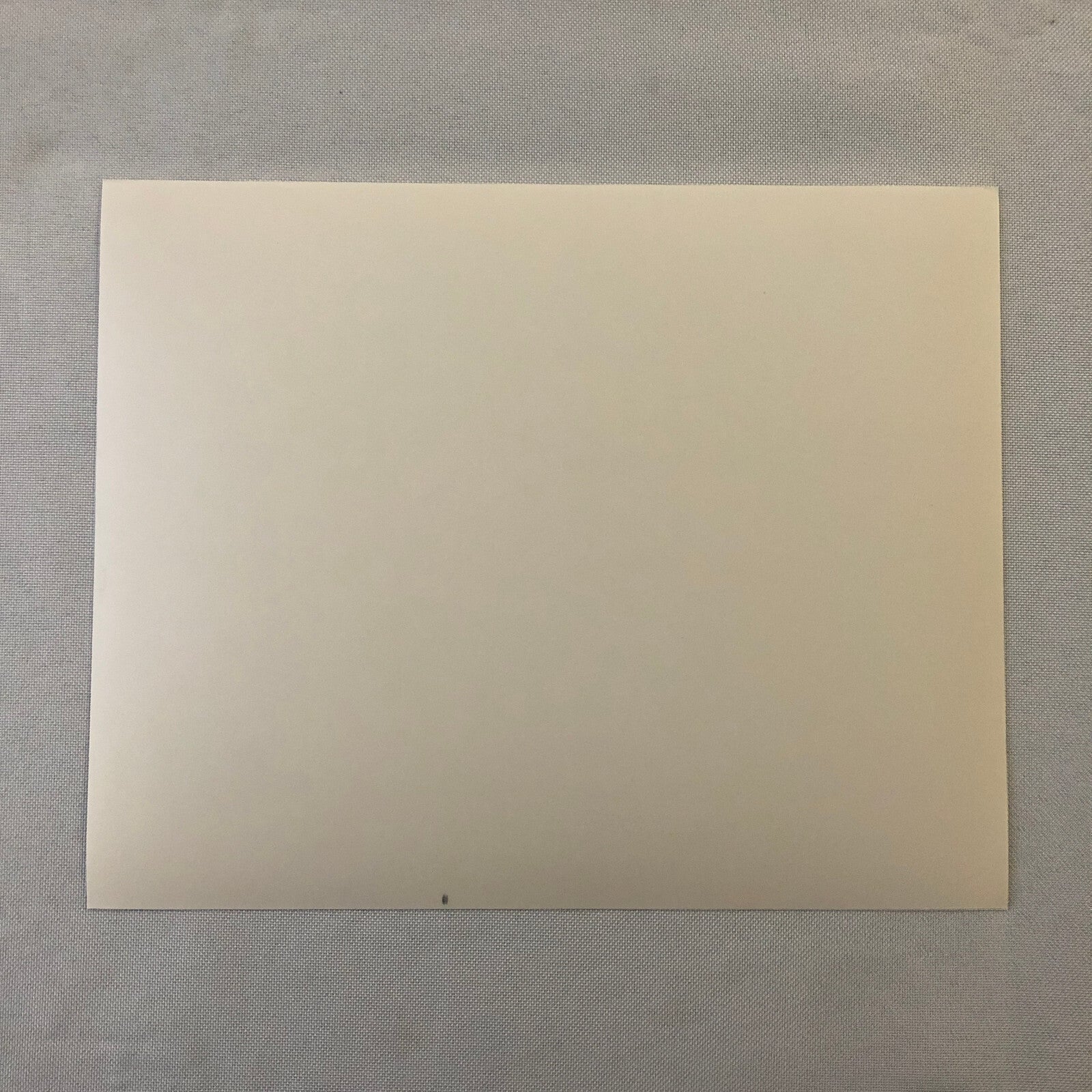 Movie Film Press Photo Photograph The Handmaids Tale Natasha Richardson