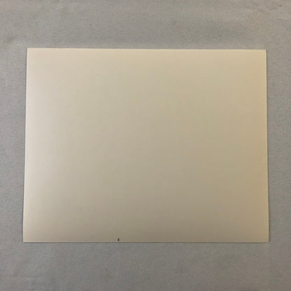 Movie Film Press Photo Photograph The Handmaids Tale Natasha Richardson