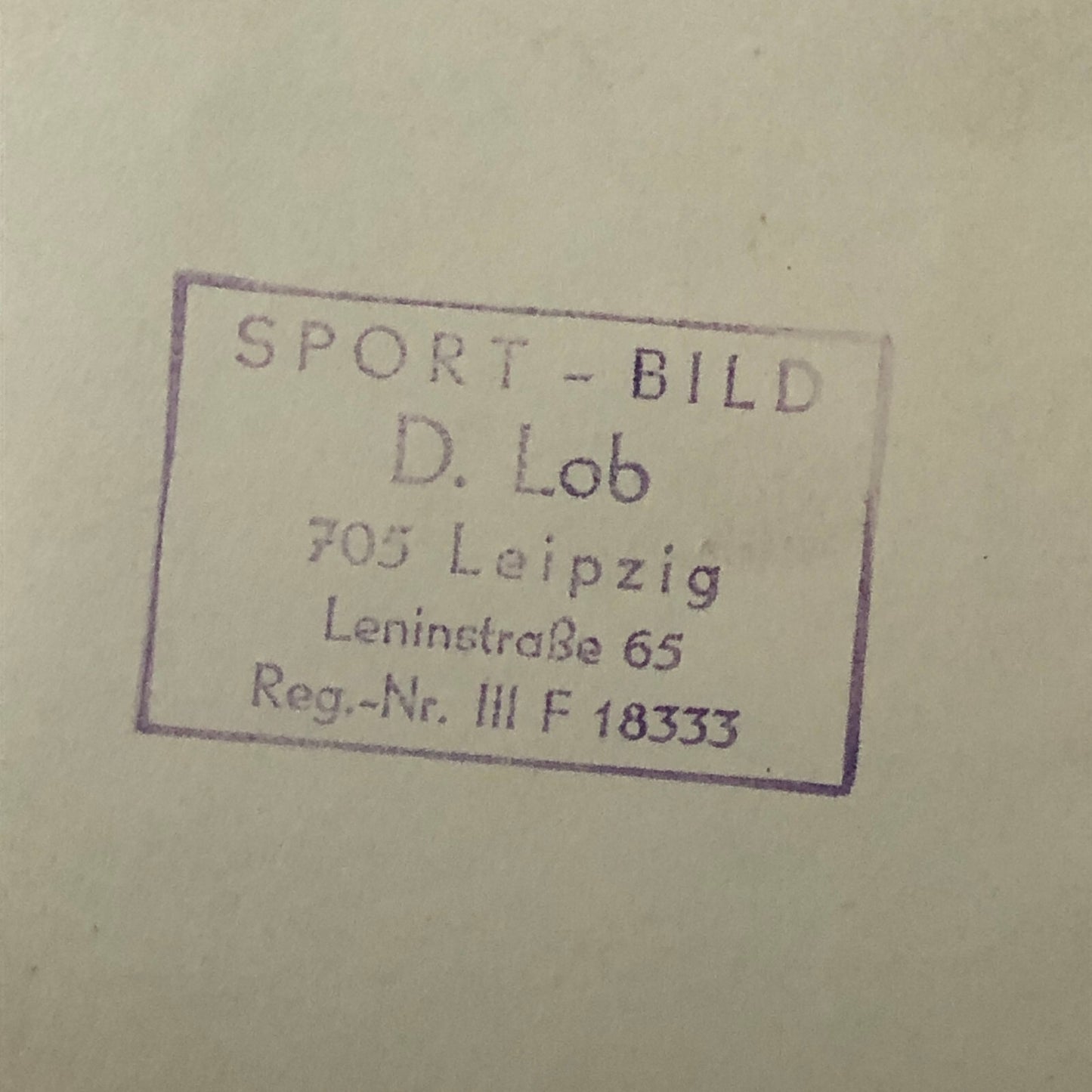 Vintage BMW Motorcycle Sidecar Racing Photo photograph Germany Side Car