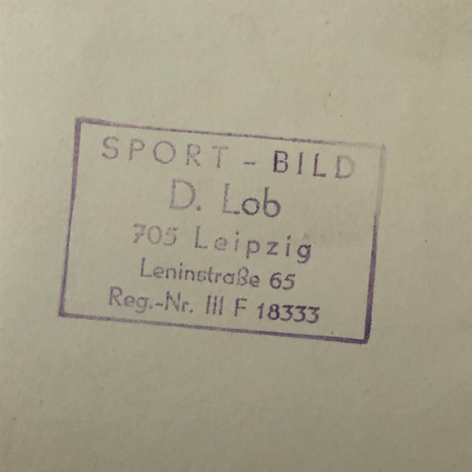 Vintage BMW Motorcycle Sidecar Racing Photo photograph Germany Side Car