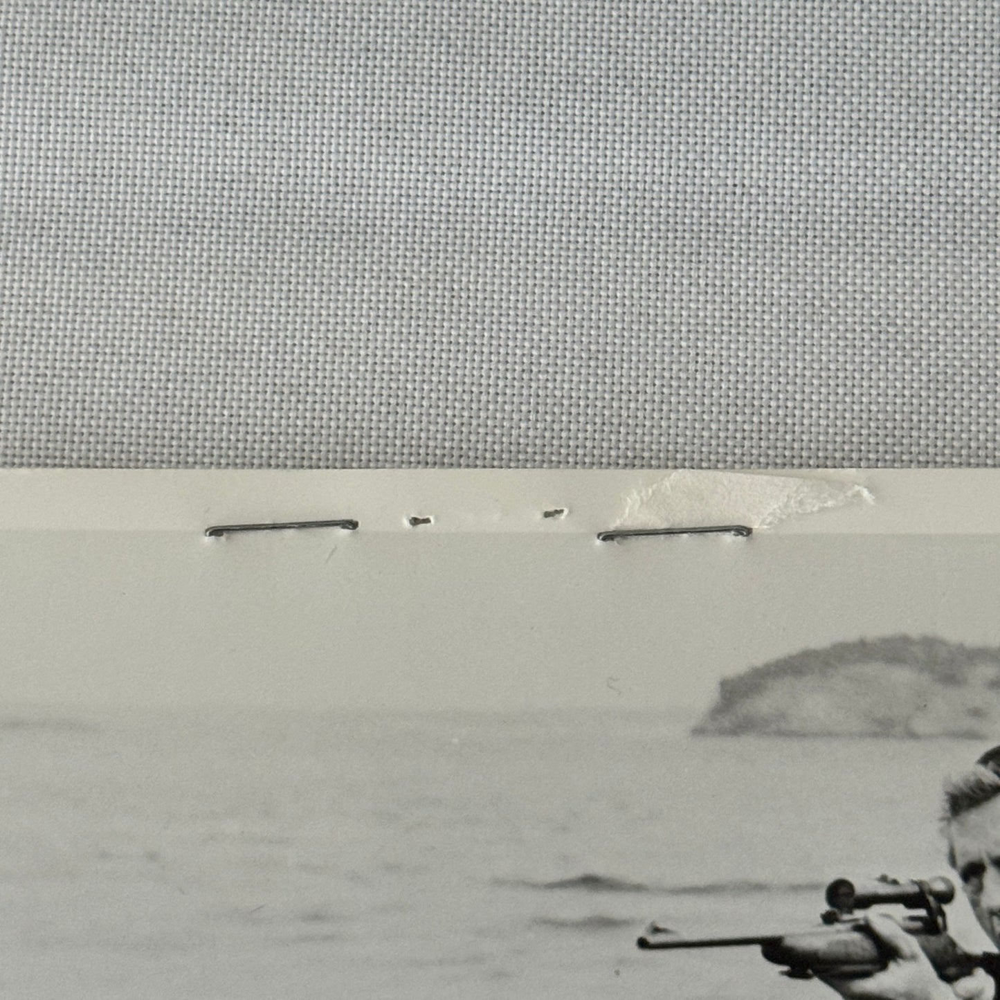 Vintage Movie Still Press Photo Photograph Namu the Killer Whale 1966