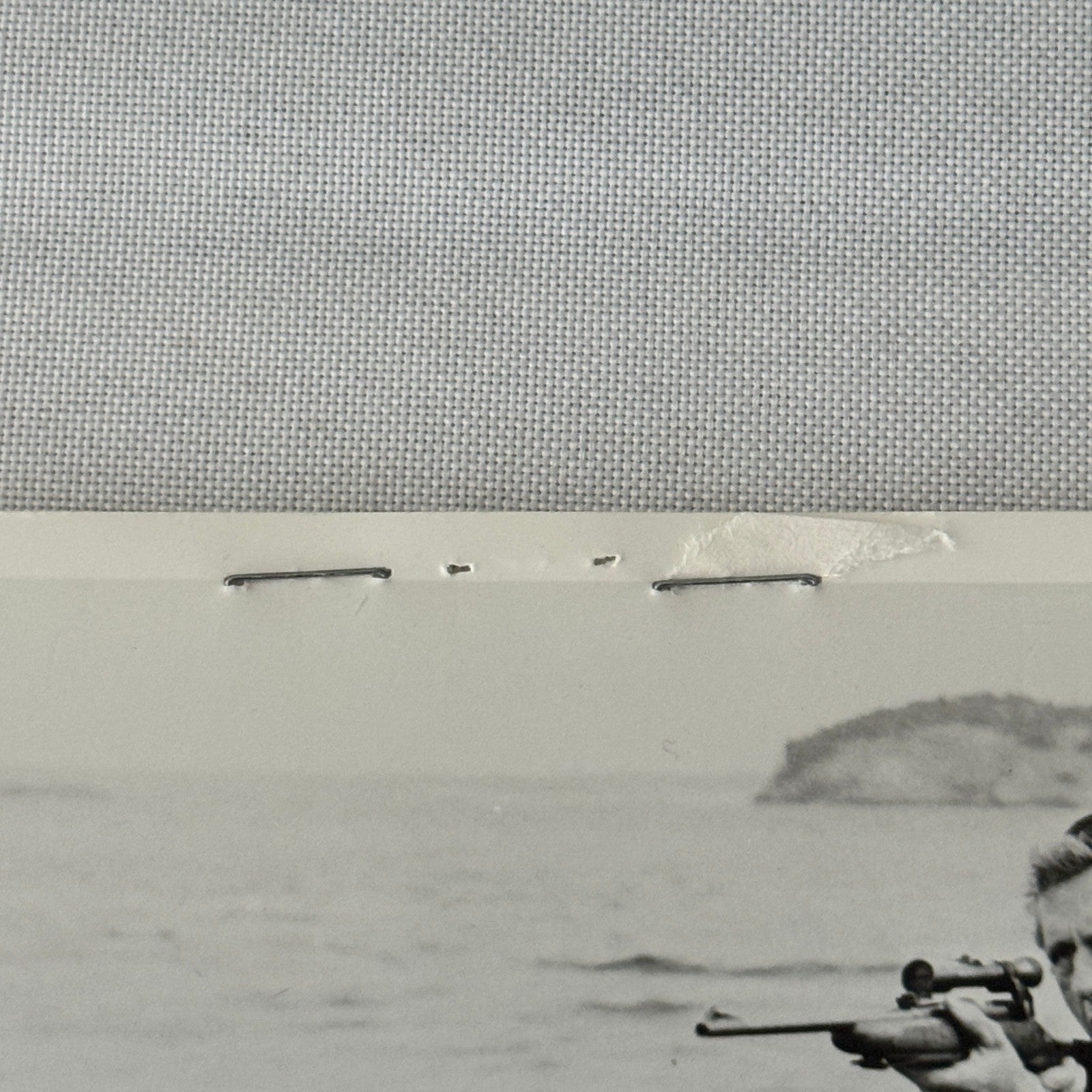 Vintage Movie Still Press Photo Photograph Namu the Killer Whale 1966