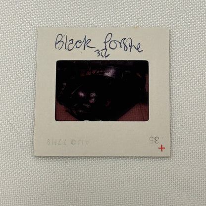 35MM Vintage Photo Slide Porsche 356 Car 1977